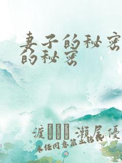 妻子的秘密妻子的秘密