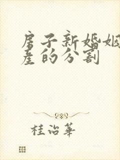 房子新婚姻法财产的分割