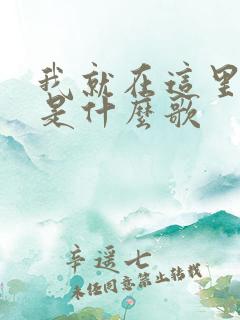 我就在这里等你是什么歌