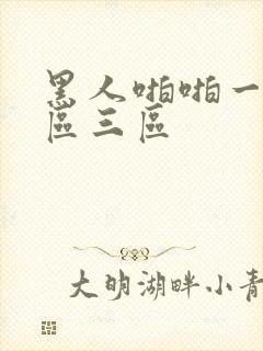 黑人啪啪一区二区三区