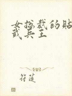 女总裁的贴身医武兵王