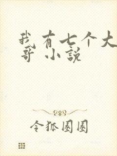 我有七个大佬哥哥 小说