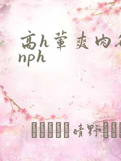 高h荤爽肉欲文nph