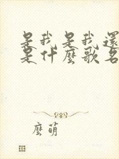 是我是我还是我是什么歌名