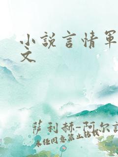 小说言情军婚宠文