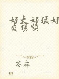 好大好猛好深好爽视频