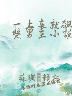 一上来就飙车的双男主小说有哪些名字