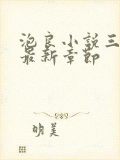 泡良小说三部曲最新章节