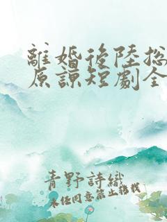 离婚后陆总跪求原谅短剧全集免费