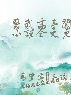 医武高手闯天下小说全文免费阅读