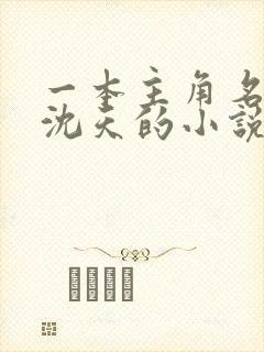 一本主角名字叫沈天的小说