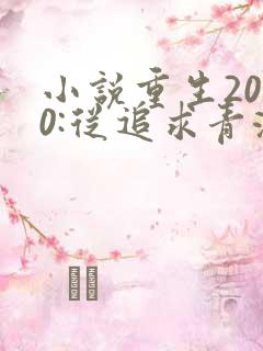 小说重生2000:从追求青涩校花同桌开始全文