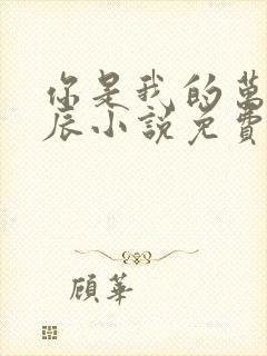 你是我的万千星辰小说免费畅听