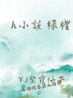 h小说 绿帽