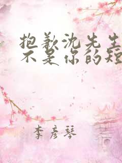 抱歉沈先生孩子不是你的短剧在线观看