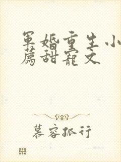 军婚重生小说推荐甜宠文