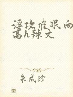 淫攻催眠向np高h辣文