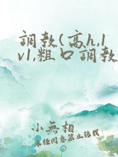 调教(高h,1v1,粗口调教)小说双男