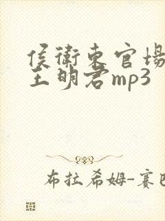 侯卫东官场笔记王明君mp3