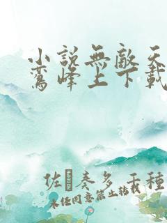 小说无敌天命青鸾峰上下载全文