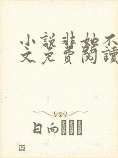 小说非她不可全文免费阅读