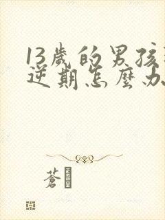 13岁的男孩叛逆期怎么办