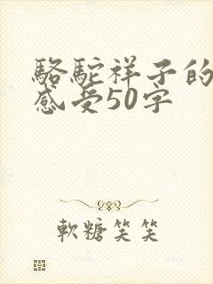 骆驼祥子的读后感受50字