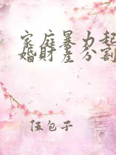 家庭暴力起诉离婚财产分割