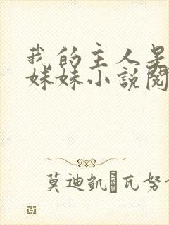 我的主人是我的妹妹小说阅读