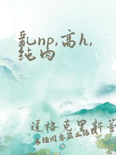 乱np,高h,纯肉