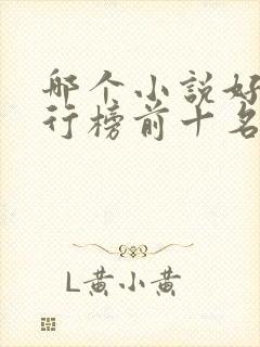 哪个小说好看排行榜前十名