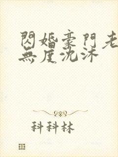 闪婚豪门老公宠无度沈沐