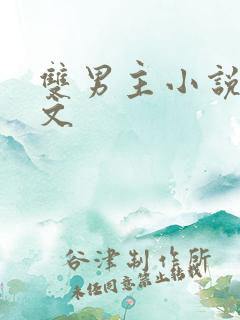 双男主小说同人文