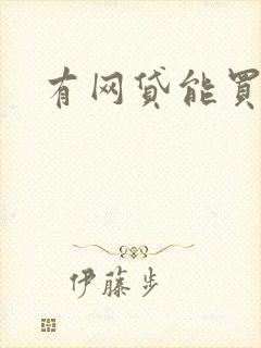 有网贷能买车吗