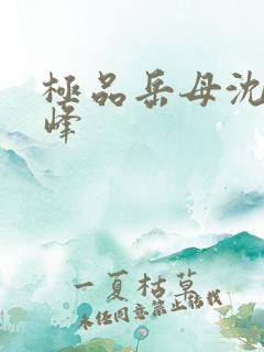 极品岳母沈曼江峰