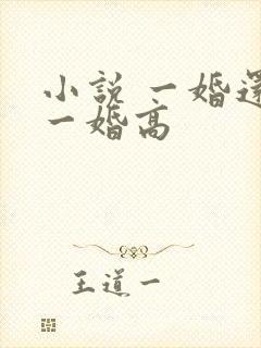 小说 一婚还比一婚高