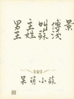 男主叫傅景琛女主姓苏浅