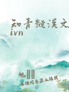 知青糙汉文多肉ivn