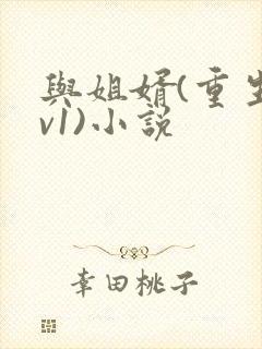 与姐婿(重生1v1)小说