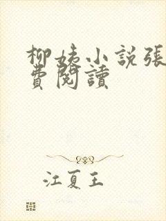 柳姨小说张浩免费阅读