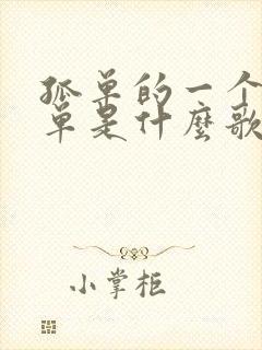 孤单的一个人孤单是什么歌