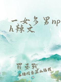 一女多男np高h辣文
