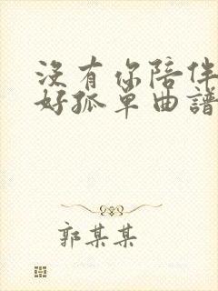 没有你陪伴真的好孤单曲谱简谱