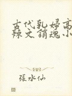 古代乳妇高h肉辣文销魂小妾