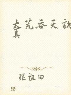 太荒吞天诀季宇真