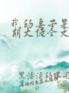 我的妻子是大乘期大佬全文免费下载