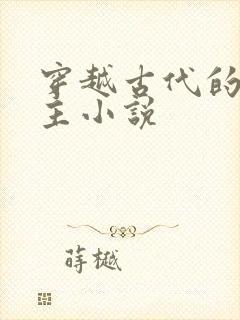 穿越古代的双男主小说