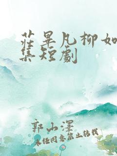 庄毕凡柳如烟全集短剧