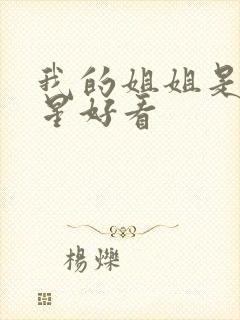 我的姐姐是大明星好看