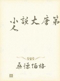 小说大唐第一闲人